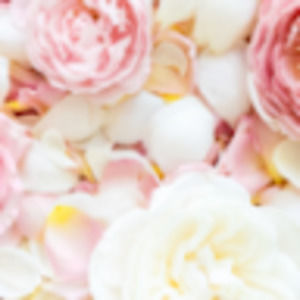 Meet your Posher, Chloe